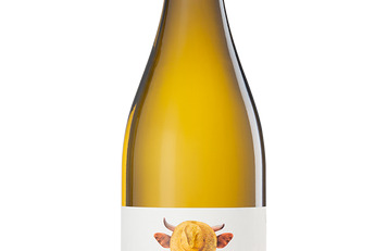 Vino Blanco VALDELAVACA 75cl (RUEDA)